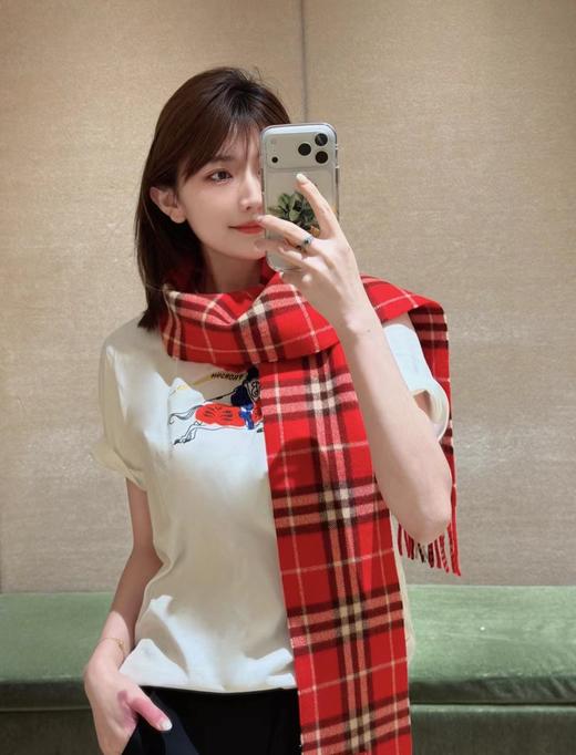 F030660早春新禧贺岁系列战马骑士刺绣T恤短袖 商品图12