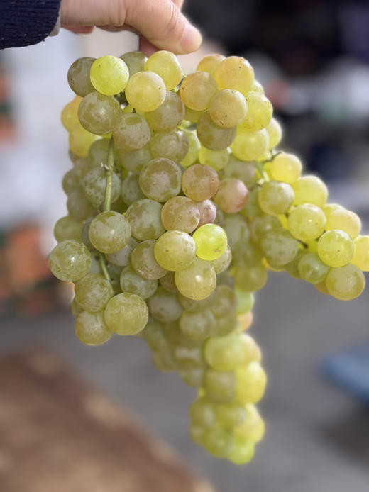 智利，Crystal Pearl水晶珍珠葡萄 入口爆爆珠般的脆感在齿间迸发，果肉细腻水润，汁水丰盈，还萦绕着若有似无的花果香，清新又高级 商品图2