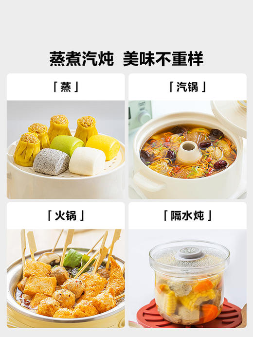 【北鼎电蒸锅集合】电蒸锅家用全不锈钢0涂层电炖锅蒸炖煮一体锅大容量多功能锅定时预约蒸汽锅 商品图9