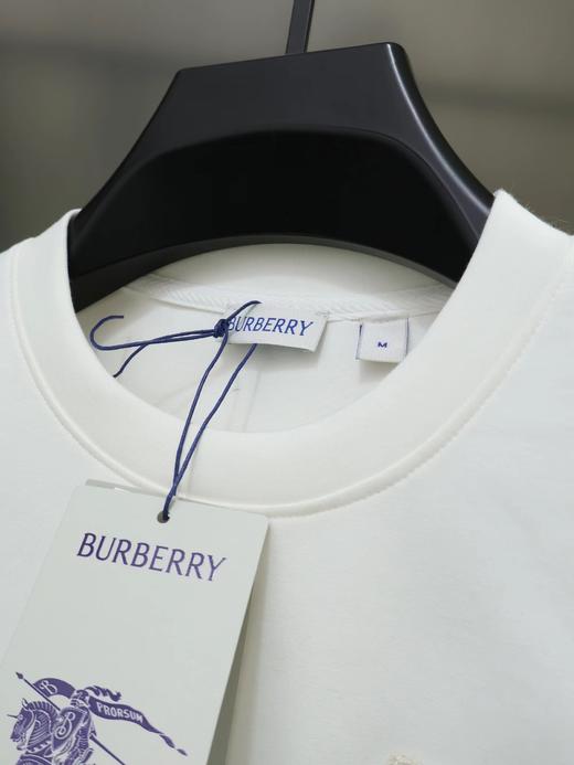 F0306126早春植绒刺绣工艺水柔棉工艺情侣款圆领套头卫衣 商品图9