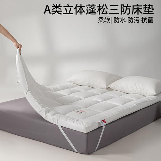 日式无印三防床垫良品防油防水防污加厚酒店秋冬柔软立体褥子软垫 商品图0