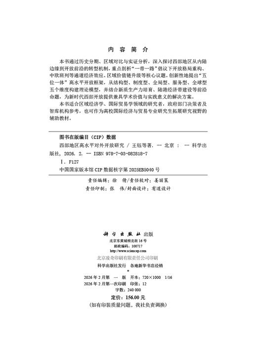 西部地区高水平对外开放研究 商品图2