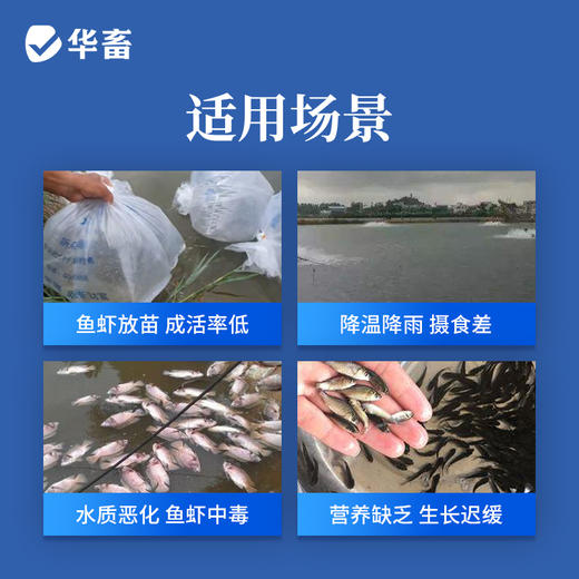华畜VC鱼虾欢 500g/袋 抗应激 保苗增免疫 商品图1