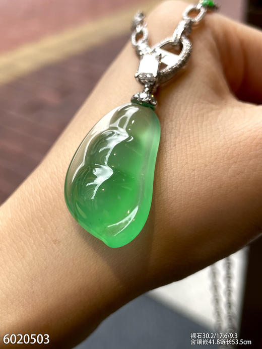 福豆吊坠【6020503】具体价格微信咨询 商品图5