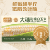 口感甜糯Q弹有嚼劲🌽【小谷队大穗甜糯白玉米】健康主食新选择🏆一根有“身份”的获奖玉米✅ 非转基因+品质全程把控，真正吃得放心的安心粗粮！ 商品缩略图1
