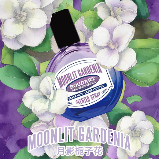 Boudart铂得 晨雾山茶花/月影栀子花香氛喷雾40ml 商品图3