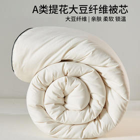 A类无印提花大豆纤维被良品纯色秋冬被芯加厚保暖棉被亲肤软被子