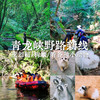 昆明周边｜青龙峡雨林徒步一日游！独家野生徒步新路线！每天可出发，亲子成人都可去，萌宠互动/秘境皮划艇/森林野餐/树攀体验/山野秘境中徒步，适合5岁-12岁的亲子家庭～五一端午路线提前预定！ 商品缩略图0