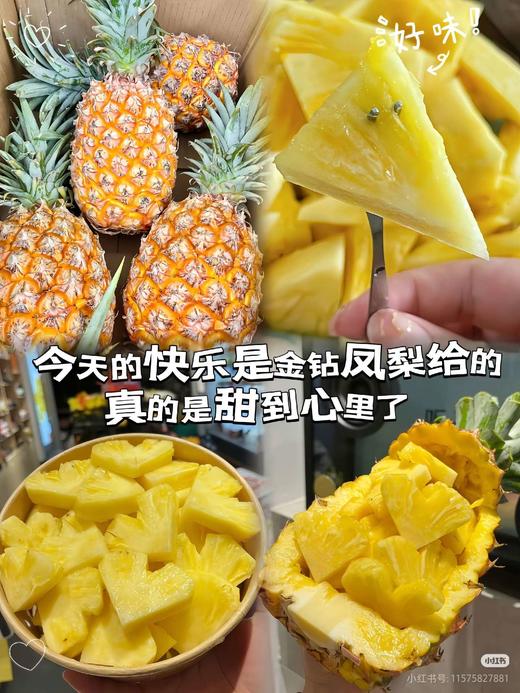 现货凤梨一箱（3个）
6斤左右 商品图3