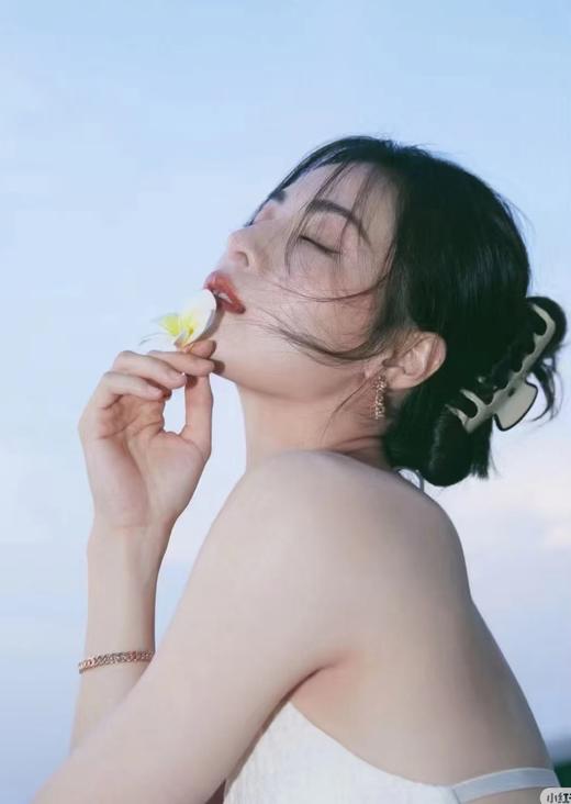 F030652醋酸材质极简线条点缀使者鲨鱼夹抓夹 商品图12