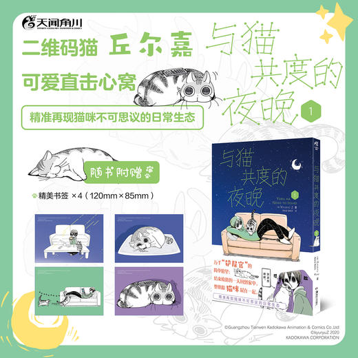 【预售】与猫共度的夜晚. 1（随书赠送精美书签4张）关于养猫我一直是新手，幽默搞笑萌宠猫咪丘尔嘉不可思议的日常生态，全彩漫画 商品图0