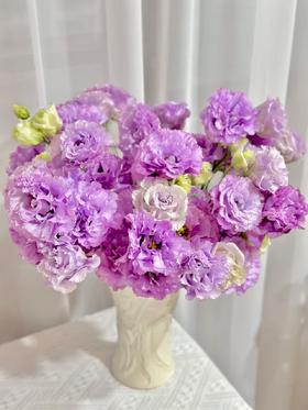 波浪紫洋桔梗800克