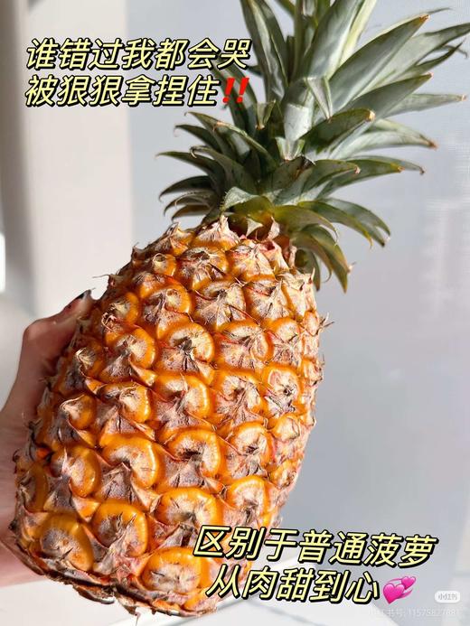 现货凤梨一箱（3个）
6斤左右 商品图5