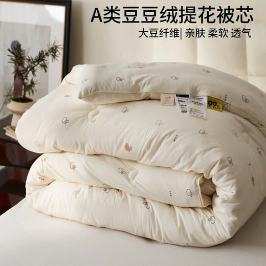 日式无印大豆纤维被良品印花提花大豆a类冬被芯被子加厚春秋柔软 商品图0