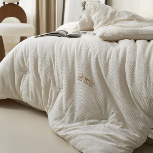 日式无印纯棉99大豆纤维被芯良品全棉被子冬被a类母婴柔软被秋冬 商品图2