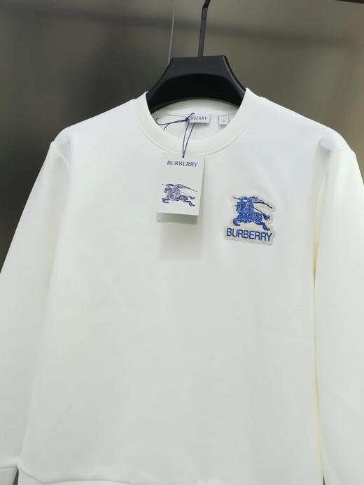 F0306126早春植绒刺绣工艺水柔棉工艺情侣款圆领套头卫衣 商品图5