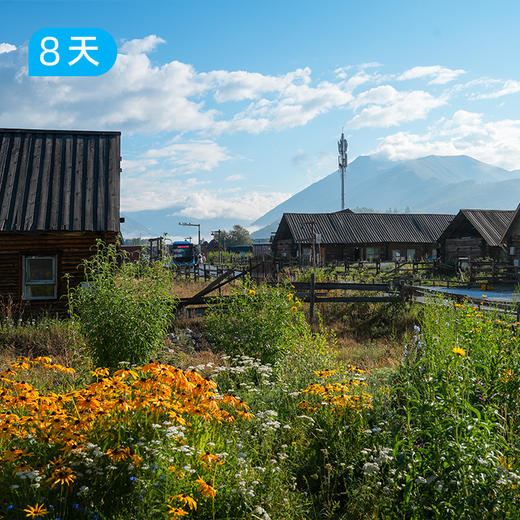 我的阿勒泰 30公里轻徒步 一次走遍阿勒泰六大秘境 8日 商品图1