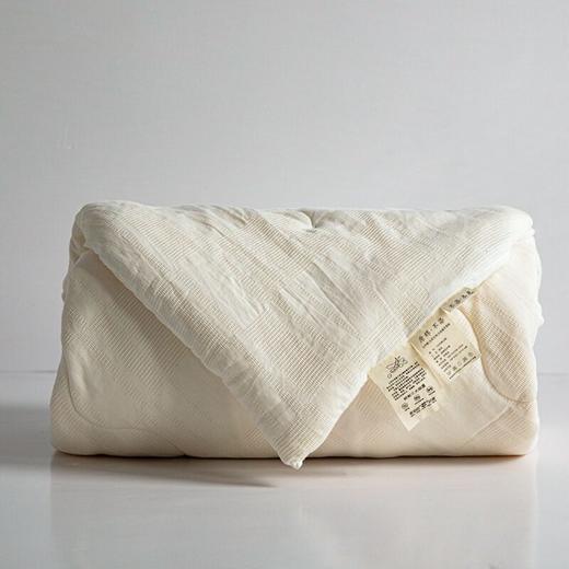 南通素艺-日式无印提花大格大豆被芯良品柔软被子全棉原棉民宿被 商品图2