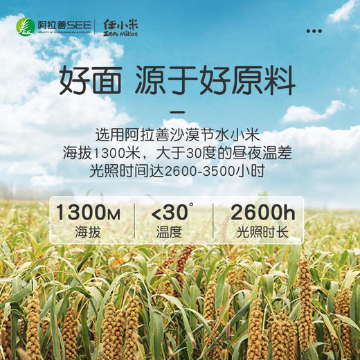 小米螺旋面/通心粉 原料就是小米跟水   250克/盒 商品图2