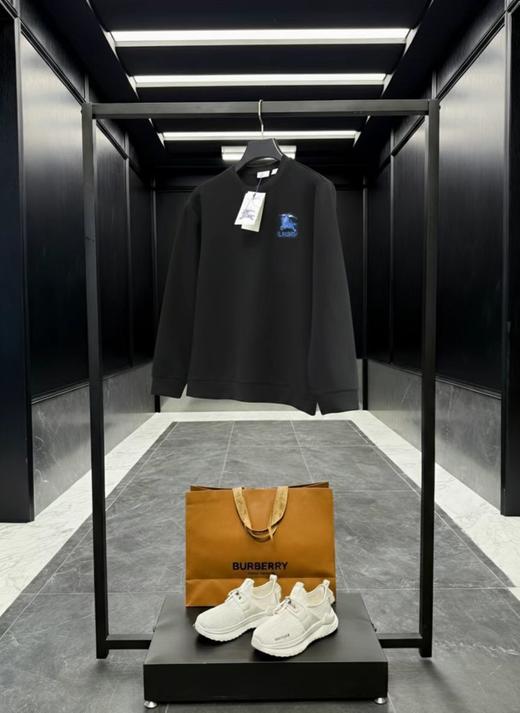 F0306126早春植绒刺绣工艺水柔棉工艺情侣款圆领套头卫衣 商品图3