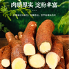【广西黄心木薯】营养粗粮粉糯可口 香甜起沙软糯回甘 商品缩略图1