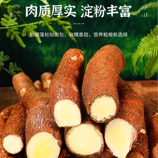 【广西黄心木薯】营养粗粮粉糯可口 香甜起沙软糯回甘 商品图1