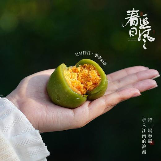 春天的味道青团蛋黄肉松青团零食休闲糕点芝麻豆沙团散装箱可选 商品图2