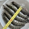 【顺丰发货！比手掌还大得黑虎虾！】东山十八景 泰国活冻黑虎虾 1kg/盒（21-25只） 只只精选 壳薄肉大 活冻锁鲜工艺 保证虾肉肉质紧实鲜甜 商品缩略图7