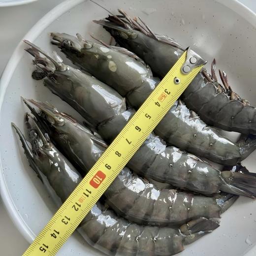 【顺丰发货！比手掌还大得黑虎虾！】东山十八景 泰国活冻黑虎虾 1kg/盒（21-25只） 只只精选 壳薄肉大 活冻锁鲜工艺 保证虾肉肉质紧实鲜甜 商品图7