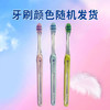 佳洁士小宽头超细软毛天鹅绒护龈牙刷樱花粉*2静谧蓝*2新旧包装颜色随机 /个人护理 /口腔护理 /牙刷 商品缩略图4
