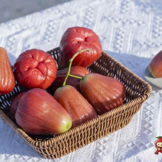 南鹿一号有机莲雾#脆甜多汁入口化渣，甜度11+，天然有机风味浓郁，顺丰空运 商品图5