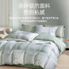天丝莱赛尔印花四件套(卡尼克) 商品缩略图4