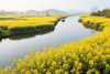 江淮春摄·花海秘境 7天团：安徽芜湖响水涧油菜花、安庆天峡杜鹃花、泾县油纸伞、桃花潭、查济古村、家朋梯田、马鞍山桃花 商品缩略图8