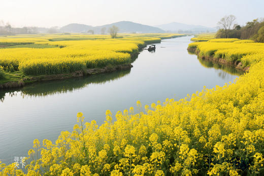 江淮春摄·花海秘境 7天团：安徽芜湖响水涧油菜花、安庆天峡杜鹃花、泾县油纸伞、桃花潭、查济古村、家朋梯田、马鞍山桃花 商品图8