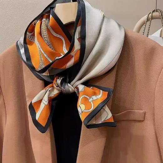 3F勃戈俏尔雅蚕丝领带巾 商品图0