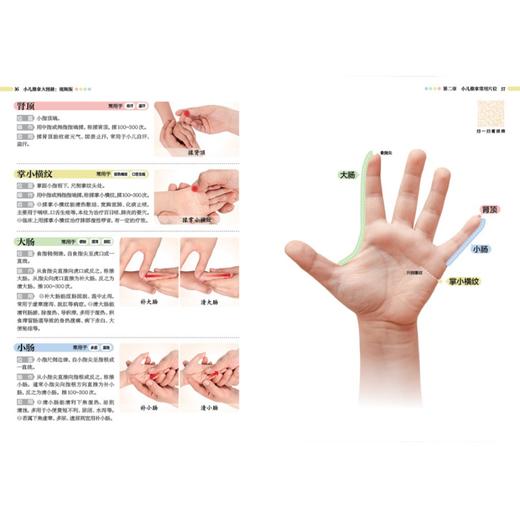 小儿推拿大图册：视频版 商品图7