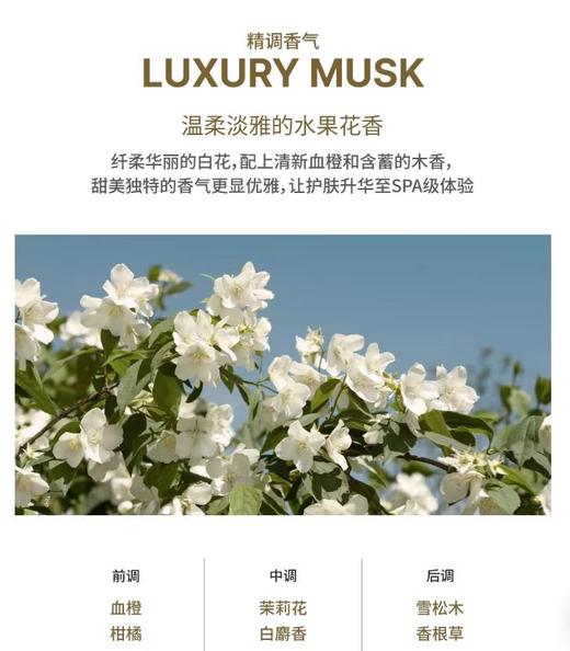 F030651眼周问题全拿捏~抚平细纹抗皱眼霜30ML 商品图9