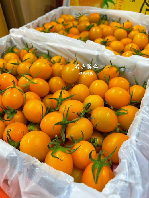 宏丰精选 红黄千禧圣女果 ，口感很甜，当季水果推荐 商品图1