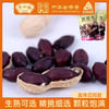 野风酥正宗山东特产土特产新货紫皮带壳熟五香烤果原味生果 商品缩略图0