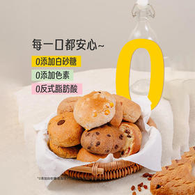 【下单即送！榛子黑巧/奇亚籽麦片】王饱饱全麦捏捏包全家福 全麦松软早餐欧包  便携面包代餐食品