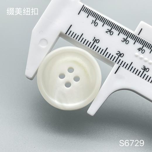 S6729(整包购买) 商品图5