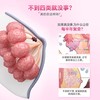 【德国进口】Purmeo帕米奥 乳腺保养胶囊小粉瓶60粒/瓶 商品缩略图3