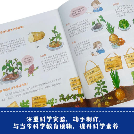 【可点读】小牛顿科学馆：全新升级版（科学蓝20册礼品装） 5-12岁 儿童百科全书 抖音同款 网红科普书 商品图7