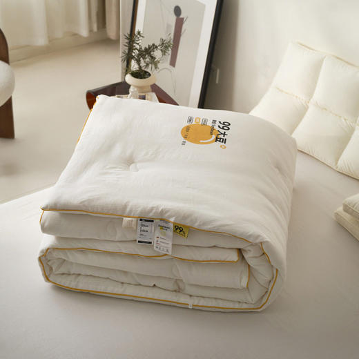 日式无印柔软提花被芯良品a类加厚被子冬被母婴纯色99大豆纤维被 商品图3