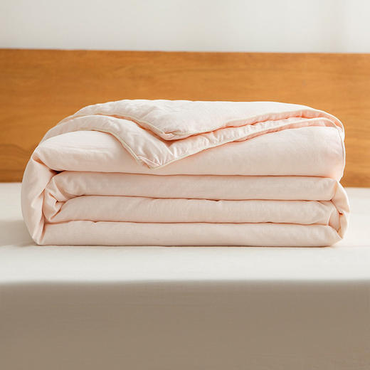 A类无印提花大豆纤维被良品纯色秋冬被芯加厚保暖棉被亲肤软被子 商品图2