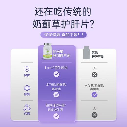 【德国品牌】Purmeo帕米奥 护肝益生菌胶囊奶蓟草水飞蓟60粒/瓶 商品图3