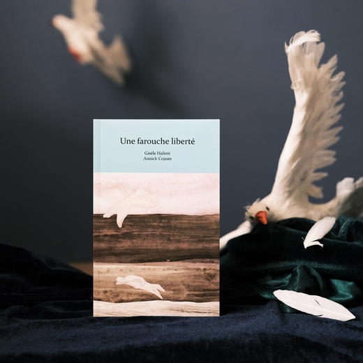 执念向自由 [法]吉赛尔·哈利米/安妮克·科让 著 女性权利 反顺从 女性友谊 法律背后 女权活动家 周小珊 译【上海译文】 商品图3