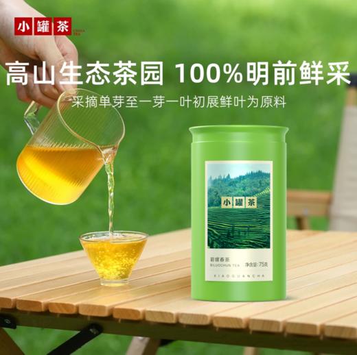 小罐茶2026年新茶明前特级碧螺春大罐 75g茶叶自己喝 商品图2