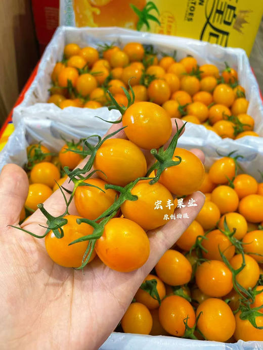 宏丰精选 红黄千禧圣女果 ，口感很甜，当季水果推荐 商品图2