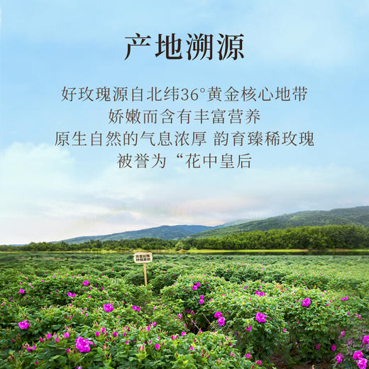 自营|唯你莫属，玫瑰花咖，香气馥郁，醇厚雅致。随时随地，做浪漫生活主理人 商品图2